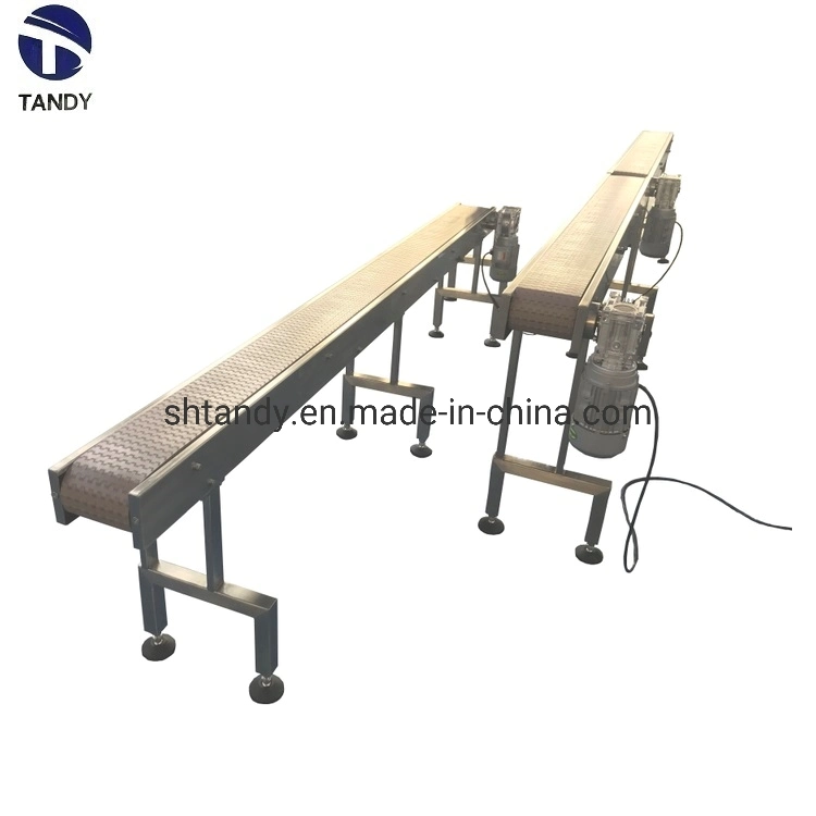 Food Packing Line Chain Slat Conveyor/Curve Conveyor/Conveying Equipment